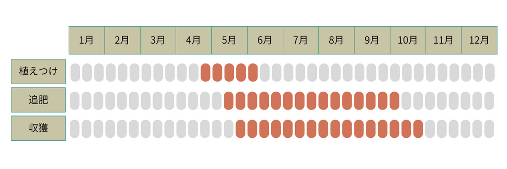 しその育て方HowTo情報コメリドットコム