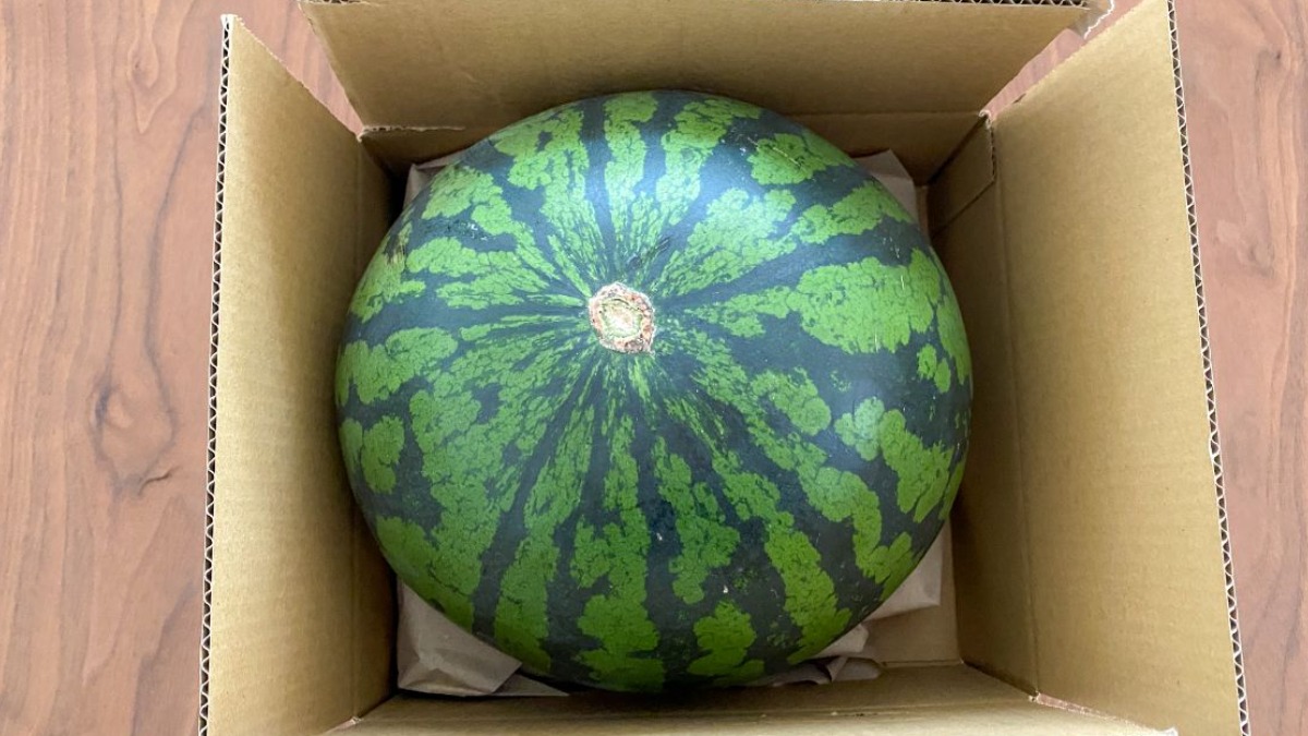 スイカを丸ごと器にした”冷製フォー、アロハテーブルのウォーターメロン フェアで - ファッションプレス