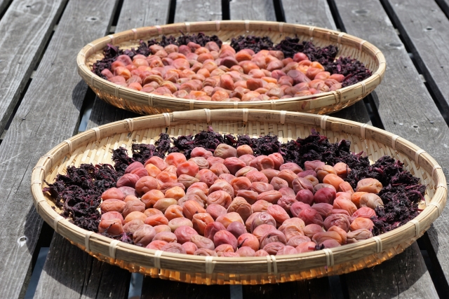 梅干しの失敗しない干し方を解説！ ザル以外で干す方法も紹介します！石神邑のよみもの梅干し専門店石神邑