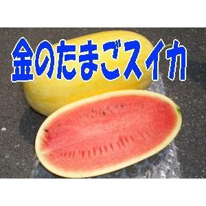 緑橋🐖金の玉子🍜11時から21時の通し営業中🍥@kinno_tamago0215• Instagram photos and videos