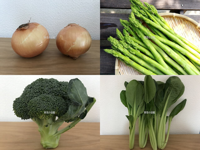 春の葉物野菜が豊富です！ - カガヤキ農園