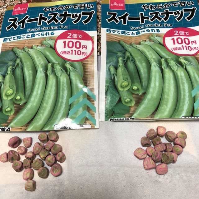 スイートスナップ 種まき53歳で退職 生活どうなる