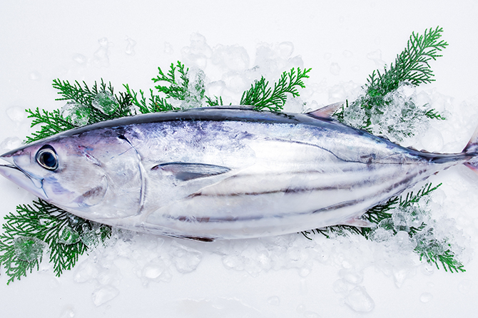 日本全国 春の魚といえば？旅先でも食べたい旬の魚12種をご紹介 じゃらんニュース