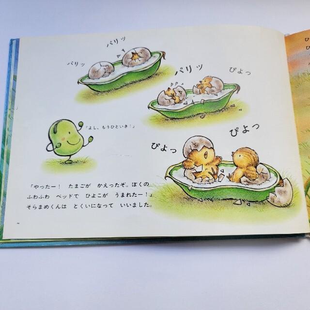 食育ぬりえ モグちゃんとそら豆シダックスのコラム