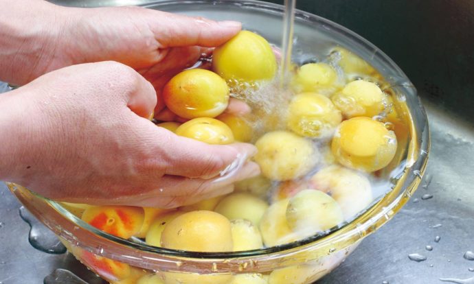 干さない梅干しって干さなくても大丈夫？ 赤しそは入れなくてもいいの？ - 好きなこと、好きなもので人生を豊かに