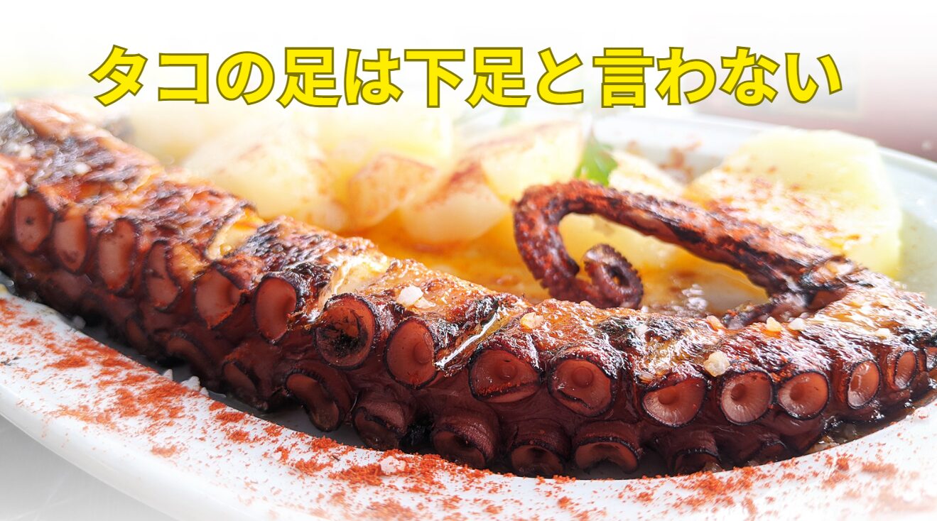 いか・タコイカするめげそ蛸たこぶつたこわさ などページ 2A-プライスオンラインショップ