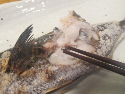 晩秋のタカベ！塩焼き２種・煮付け・骨せんべい・白子煮付け 食べ方 レシピよちよちエクスプレス