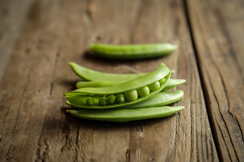 スナップエンドウ＆グリンピースの種採りの時期がやってきました年上彼女と畑する