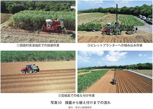 サトウキビで学校支援活動。子どもたちに農業体験を通して伝えたい想いNEWS榮太樓總本鋪 日本橋 和菓子