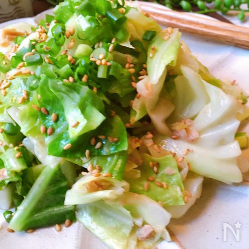 基本からアレンジまで！思わずつくりたくなる「キャベツ 副菜 ポン酢」のレシピ集クックパッド