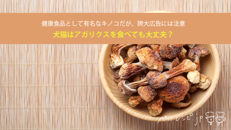 そのPOPの表示、大丈夫ですか？ - アグリポートWeb