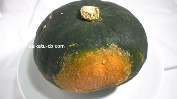 かぼちゃにカビが！黒や白のカビは食べられる？中に虫が！どうする？健康♡料理♡美容♡恋愛