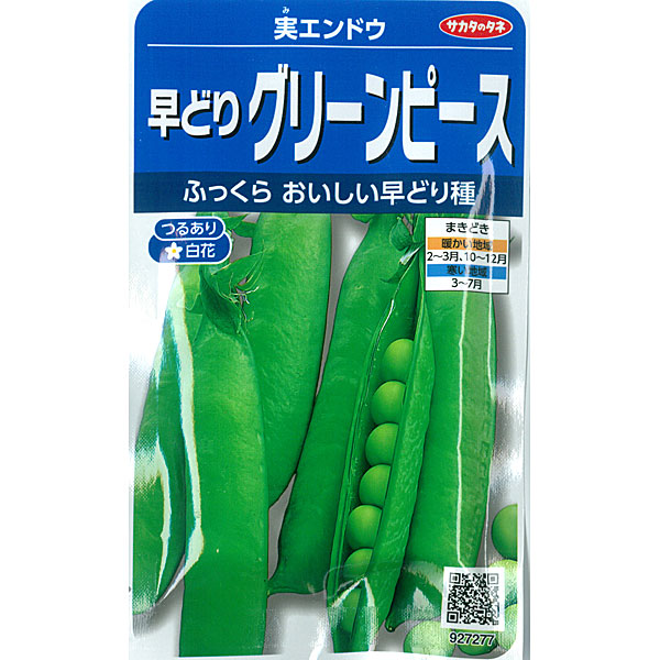 えんどう豆 スナップえんどう苗の育て方 ～エンドウのサヤと種 豆 を食べる品種～野菜のお話