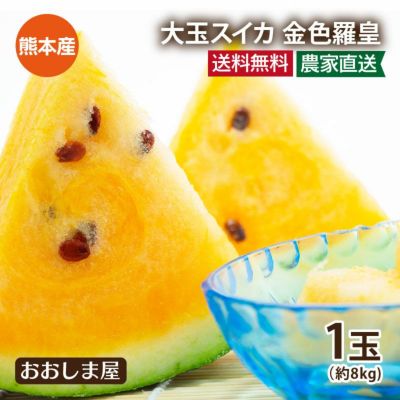 大玉スイカの選び方と保存方法、おいしい食べ方やレシピを紹介山形のすいかJA公式 山形名産品を産地直送JAさがえ西村山公式通販