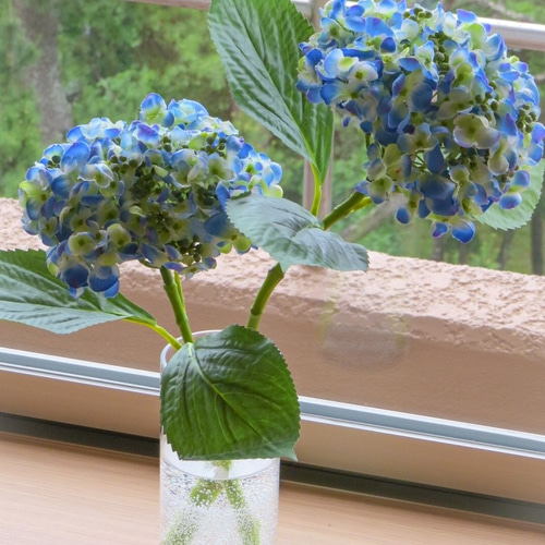 紫陽花の先祖返りとKさんの花瓶。いつも笑顔で♪ 前向き 前向き～♪ - 楽天ブログ