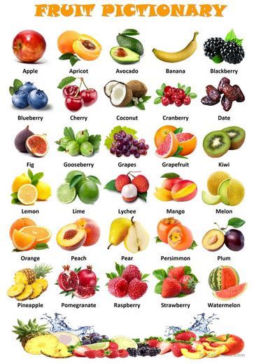 X-Knowledge野菜と果物 すごい品種図鑑