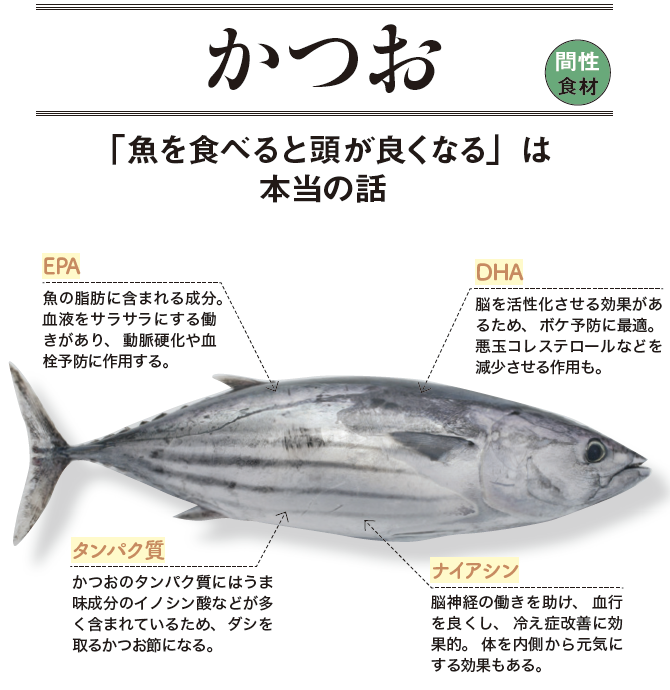 画像と一覧表付き 青魚の種類を紹介！マグロとカツオは含まれる