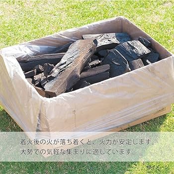 Amazonカインズ CAINZ片付けラクラク 木炭付き コンロ 幅26×奥行21×高さ5cm 使い捨てコンロ 後片付け簡単 アウトドアBBQ キャンプ 屋外用カインズキャンプ用グリル・焚火台