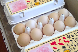 トップページ瀧田養鶏場たまごの樹