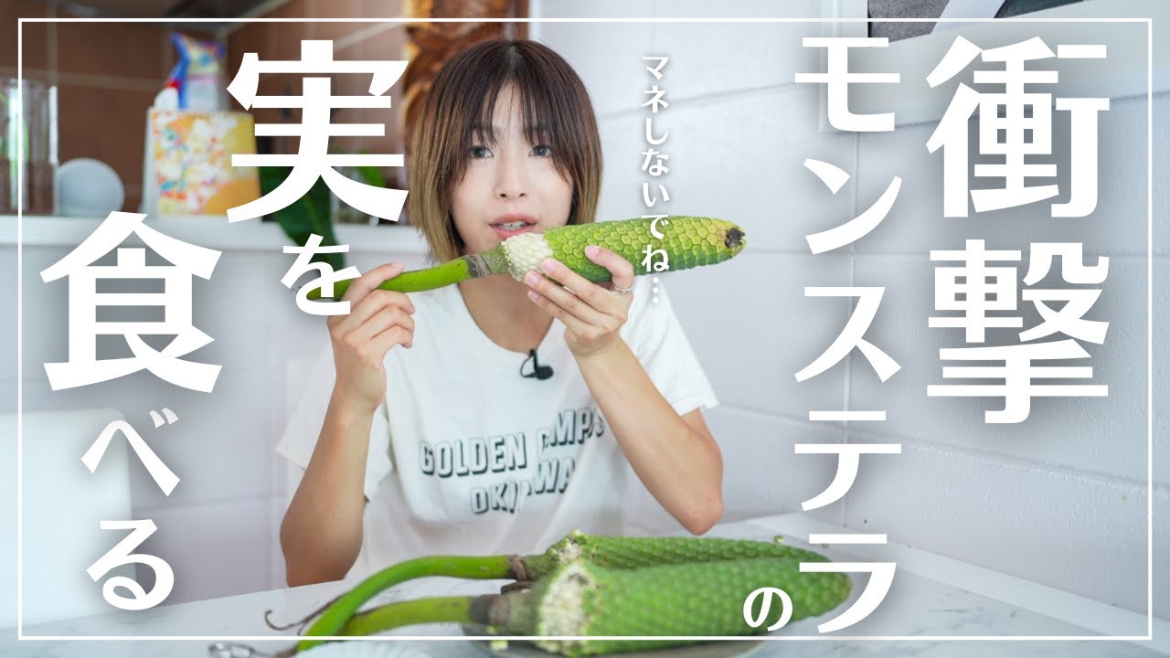 コパンダ ガジュマルの実生に挑戦！🍀GreenSnap グリーンスナップ