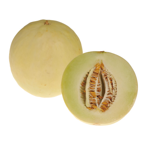 ローマ名物カルボナーラ 2023GWルスランの世界食べ歩き&フライト日記 2