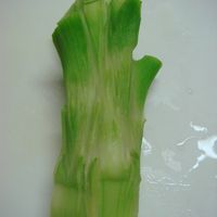 食べるSDGs その発想はなかった!?「ブロッコリーの茎の皮きんぴら」作ってみた！食感ごぼう!? 農家直伝2023年3月24日-エキサイトニュース