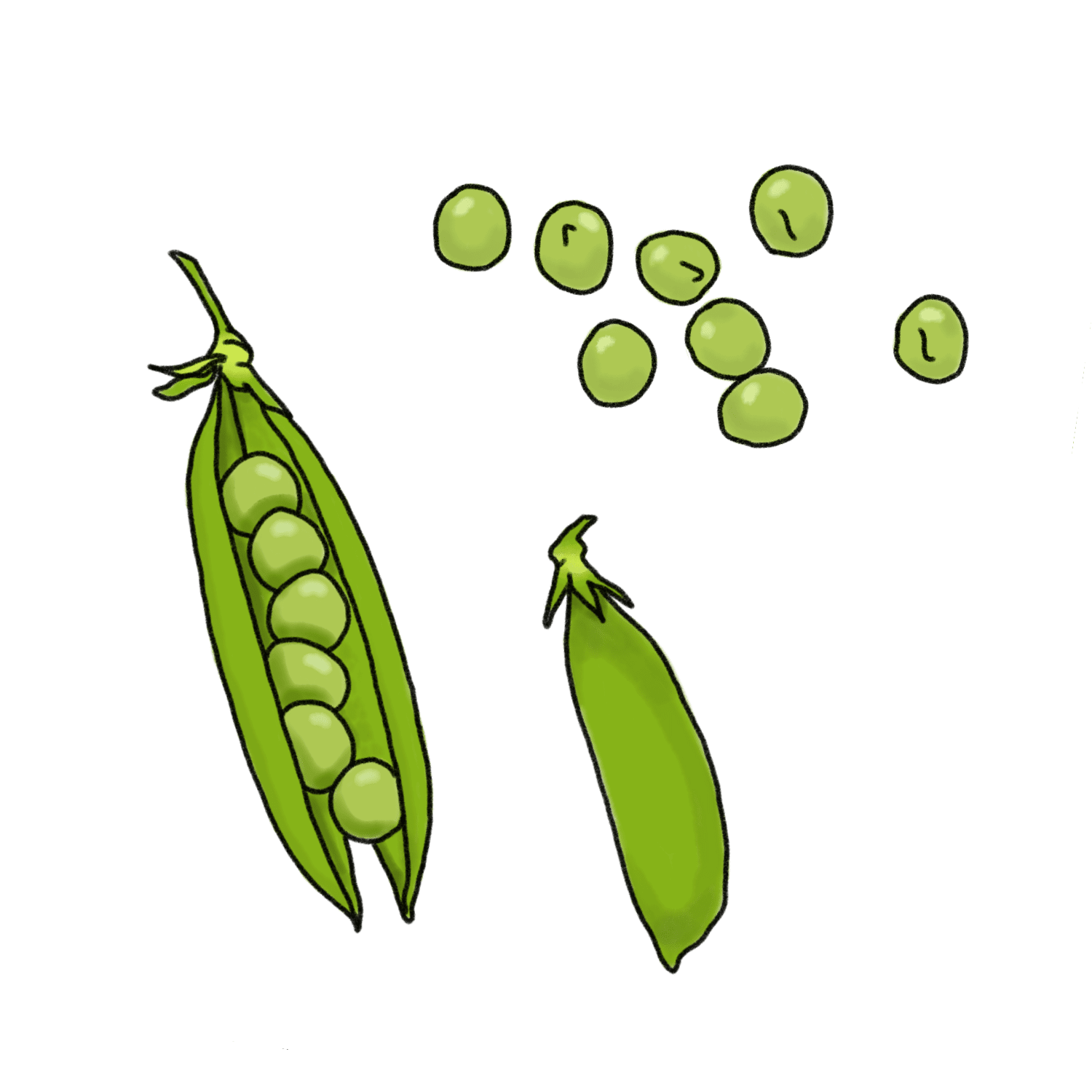 いちご イラスト いらすとや321 無料画像