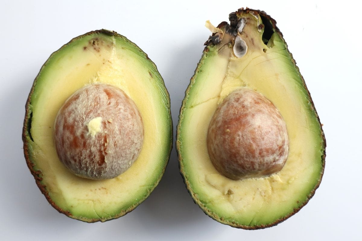 アボカドの選び方 知らなきゃ損！おいしくて食べれる部分が多いのはどれ？4yuuu