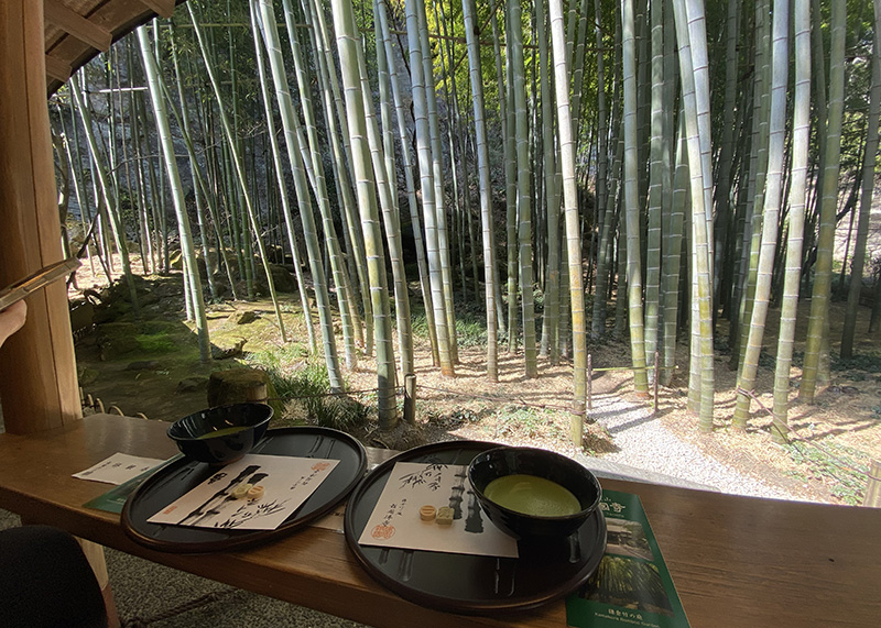 報国寺 竹寺。毎年こちらの竹林を観ながらお抹茶を頂くのが楽しみ! 夏の季節がやって来た!』鎌倉 神奈川県 の旅行記・ブログ by KENYoshimuneさん フォートラベル