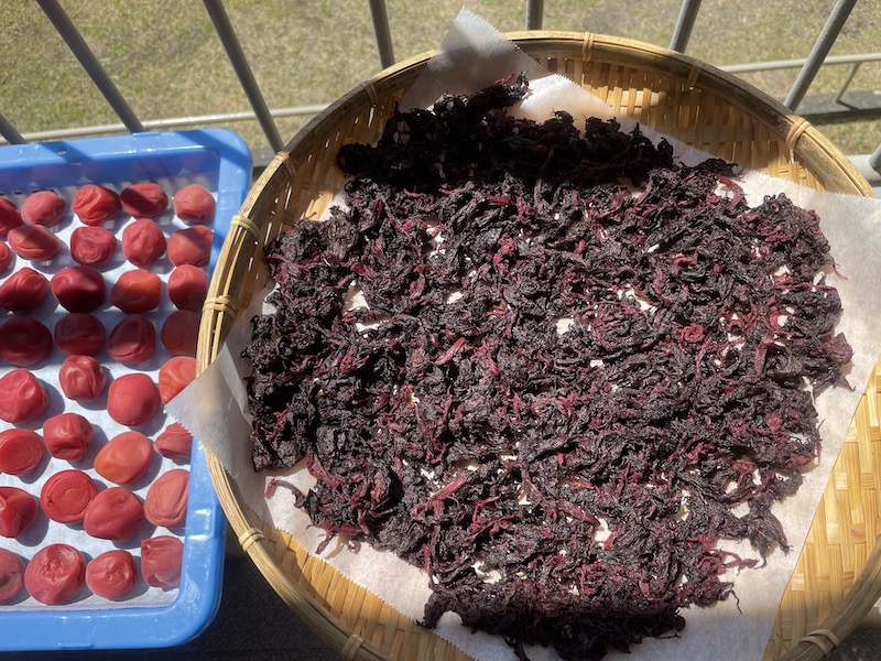 梅干し用、シソの葉の準備