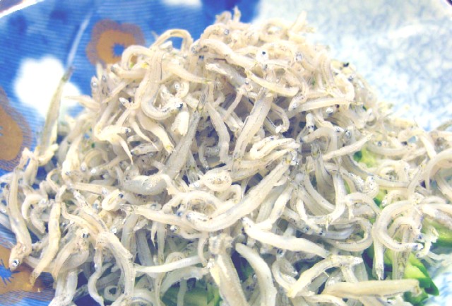 シラスの商品パックにフグの稚魚混入 茅ケ崎のスーパーカナロコ by 神奈川新聞