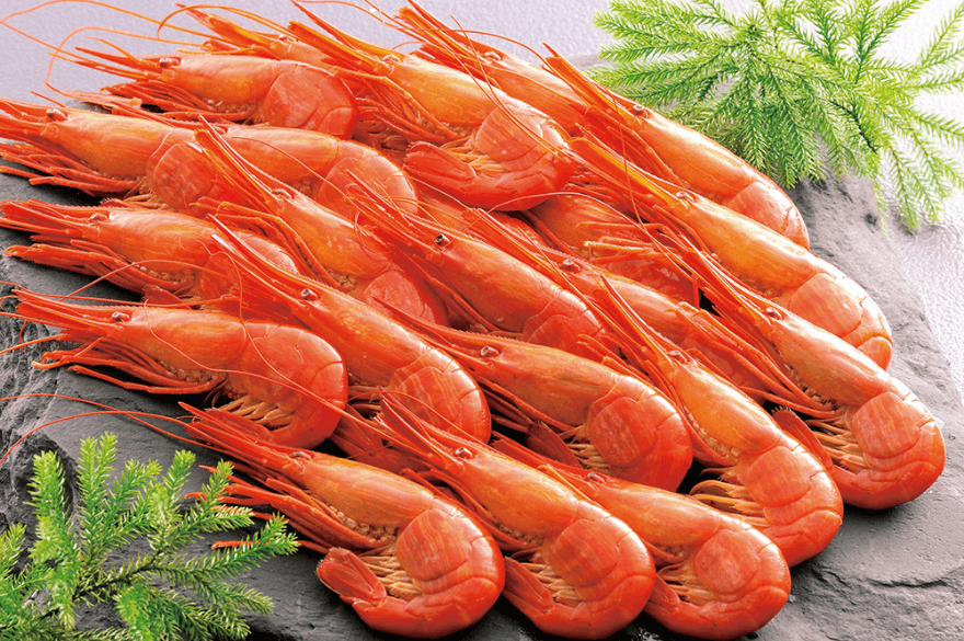 海のルビー！北海道産 北海しまえび 500g– 食べごち