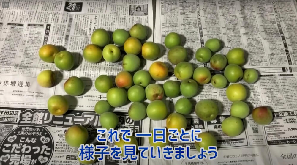 梅の追熟のやり方。青梅を完熟梅にする簡単な方法とコツを紹介。 - LIFE.net