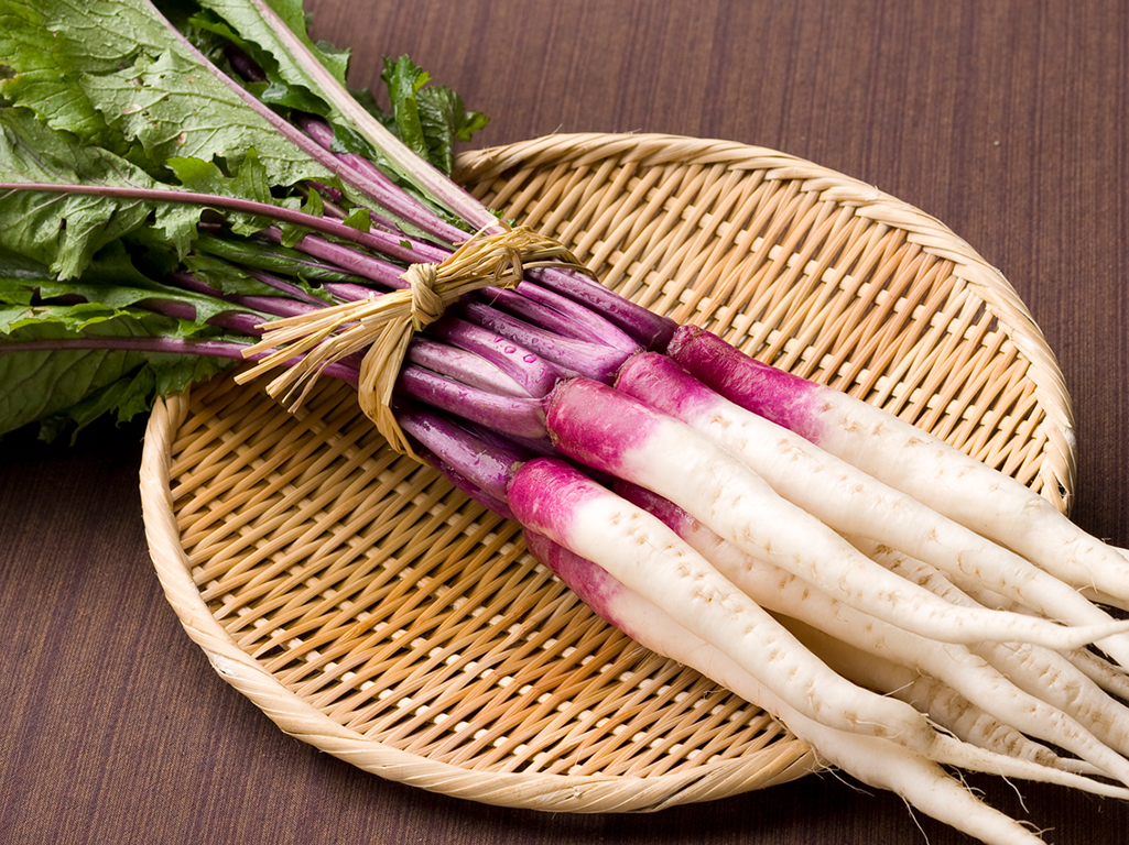 春野菜をおいしく！栄養素やおすすめの食べ方を解説！長寿の里 あっとよか