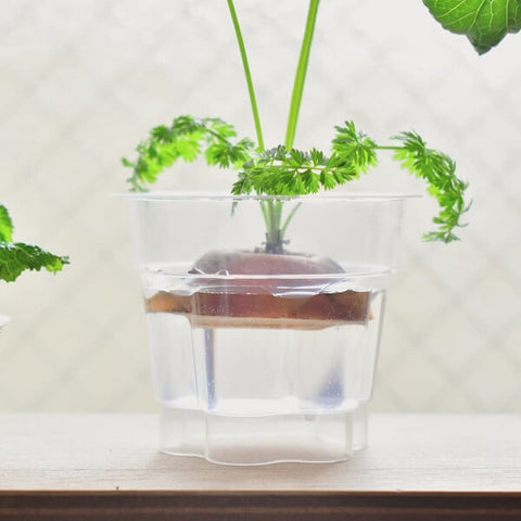 送料無料 壁面飾り 秋の味覚 果物 セット