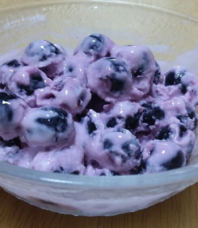 ブルーベリー入り手作りフローズンヨーグルトeフレンズ ぱくぱく献立くん