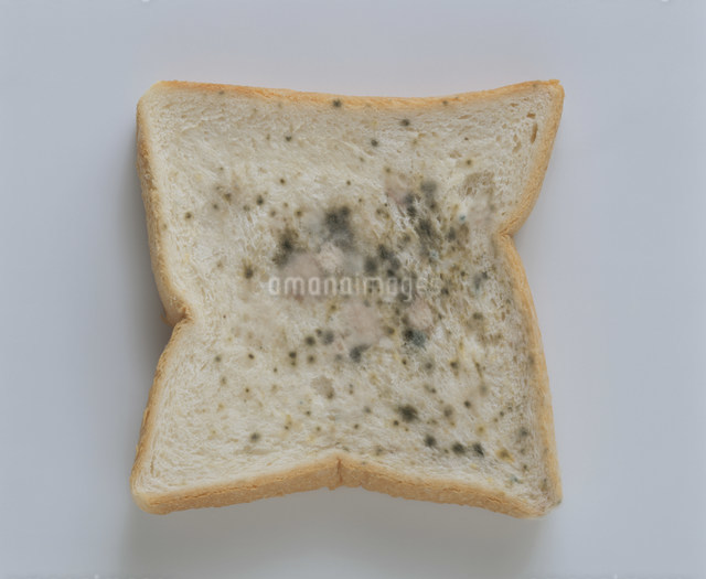 このパンについた白い粉はカビですか？？ - 開封済みのパンで一晩常温で置いて- Yahoo!知恵袋