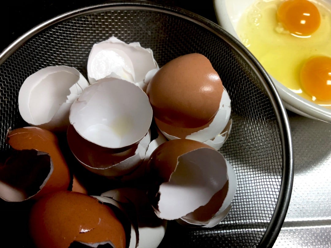 さぁ、畑を始めようか お酢で３分クッキング 防虫剤と液肥 はしゃぐ年子の心