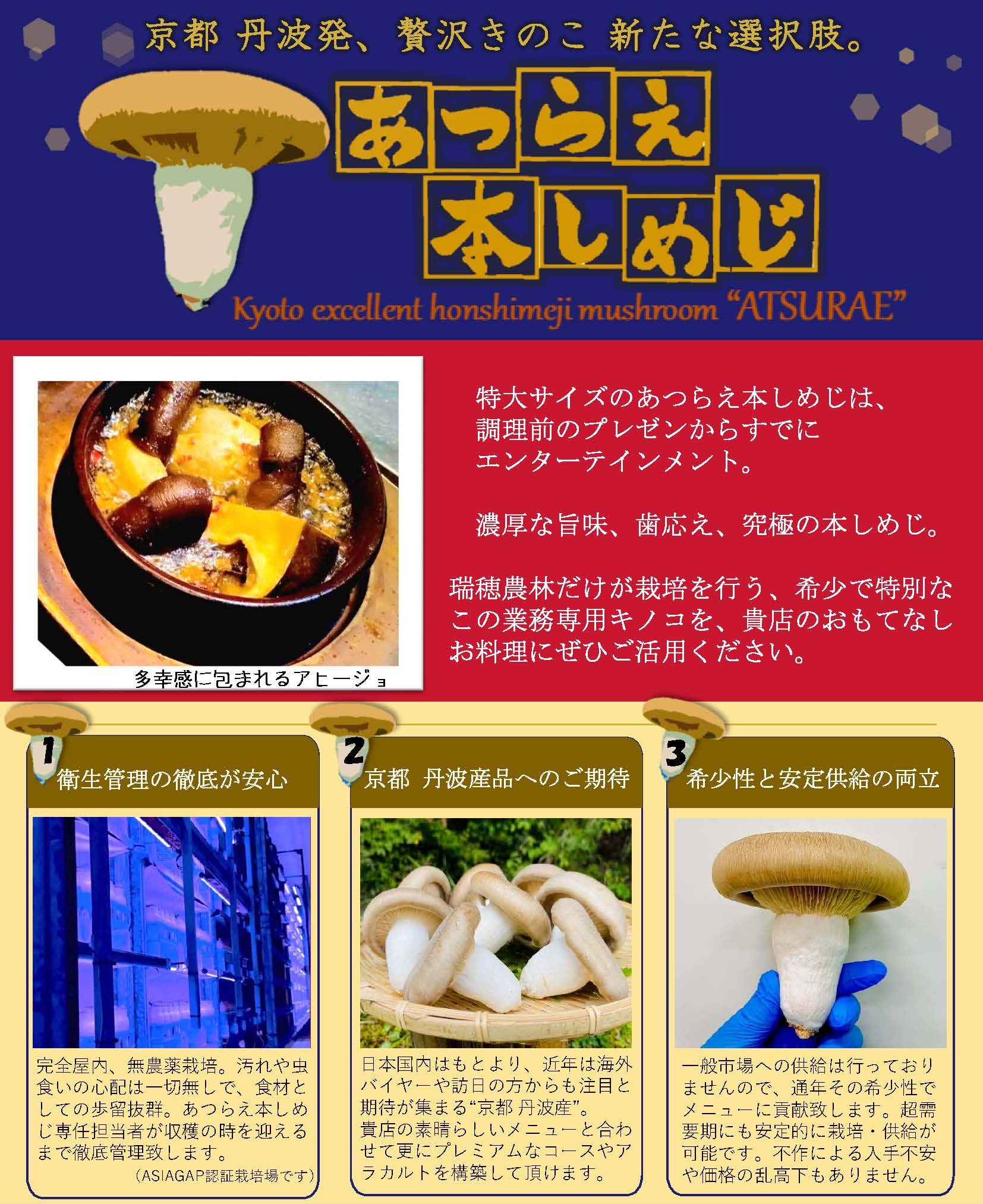 本しめじ ホンシメジ販売・通販天然きのこ山菜.com