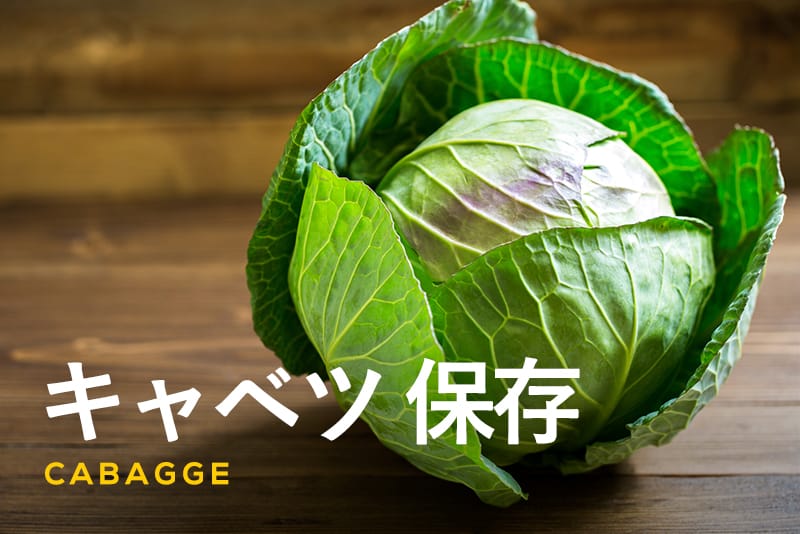 キャベツを冷蔵・冷凍保存でおいしく食べるベストな方法は？Lidea リディアby LION