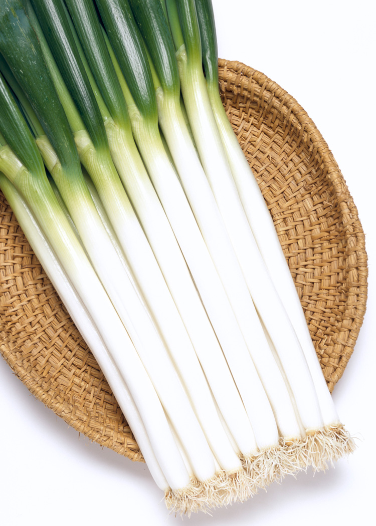 白ネギと青ネギの違い公式 瓢嘻 ひょうき 全席個室「しゃぶしゃぶ・日本料理」東京で接待・会食・お祝いなら 瓢嘻