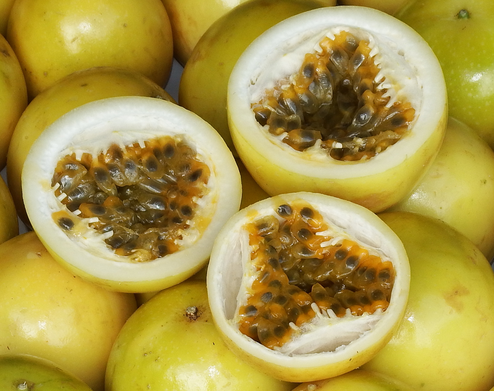 種も食べられる！パッションフルーツの美味しい食べ方- 奄美物産 公式ブログ