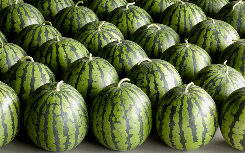 大玉スイカの写真素材写真素材なら「写真AC」無料 フリー ダウンロードOK