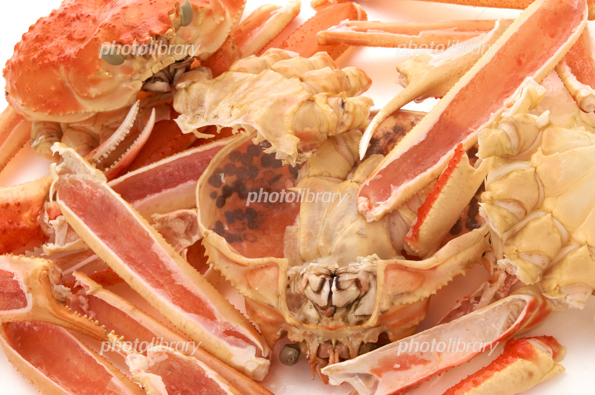 195,600点を超えるカニのストックフォト、写真、そしてロイヤリティフリーの画像 - iStockズワイガニ, タラバガニ, エビ