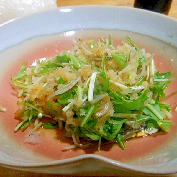 大根おろしとちりめんじゃこ 写真素材1759151- フォトライブラリー photolibrary