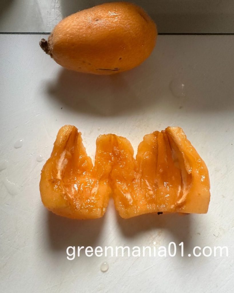 旬の果物 びわのおいしい食べ方と保存方法・レシピ・効能まとめJA長崎せいひ公式オンラインショップ長崎県の特産品のお取り寄せ