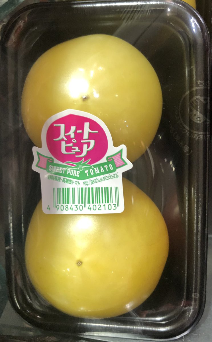 イエローミミカネコ種苗株式会社未来をひらく・カネコ交配