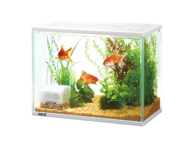 AmazonテトラTetraテトラ 静かな金魚飼育セット SF-17GF 水槽 アクアリウムTetra飼育セット 通販