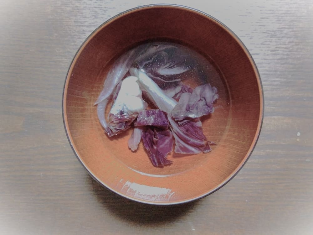 かわいそう 嫁 弁当 下手TikTok