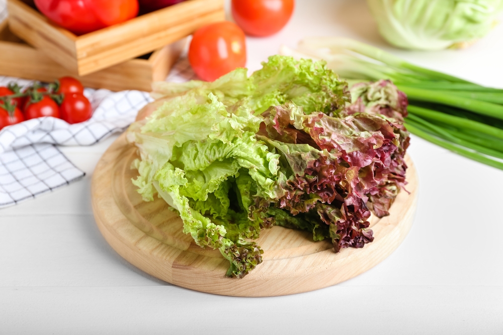 スピード副菜 サニーレタスの塩昆布サラダ